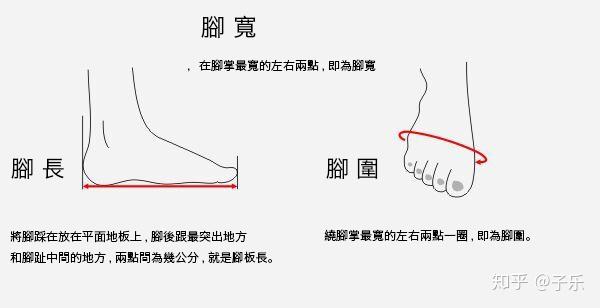 新手篮球鞋怎么选：抓地、包裹和场地先确认